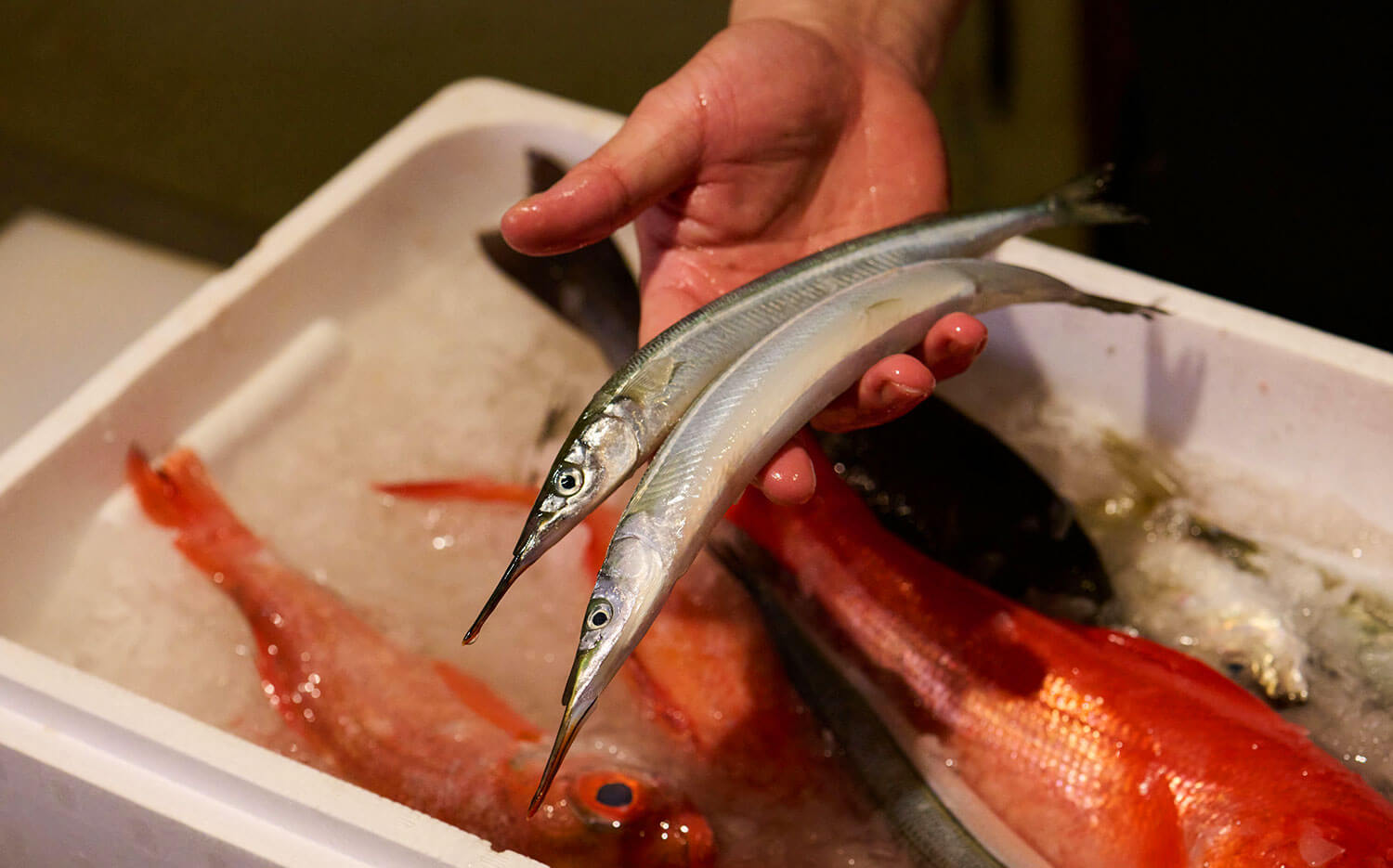 魚