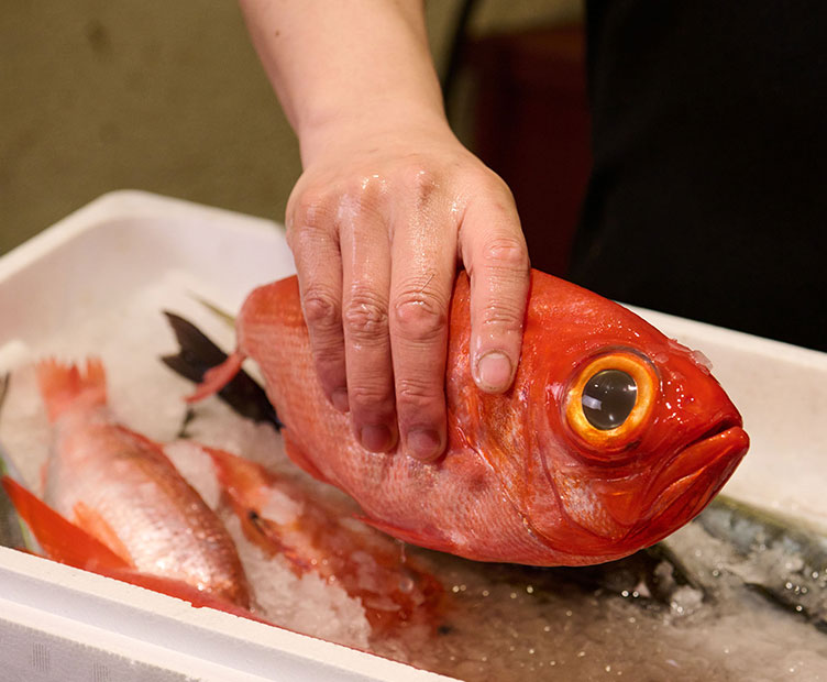 魚を触る