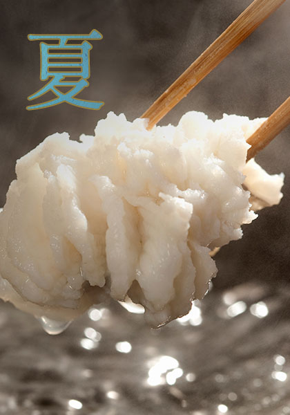 夏